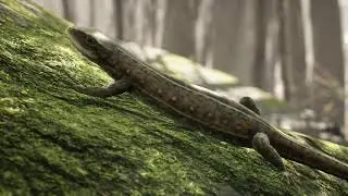 Peaceful Ambient Screensaver Loop