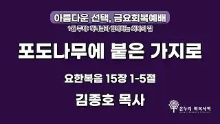 [금요회복예배] 포도나무에 붙은 가지로 (요한복음 15장 1-5절)│김종호 목사│2026.01.16