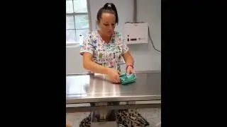 skill02
