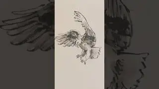Drawing eagle #AliSketchMaster #howtodraw