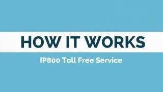 IP800 Toll Free service
