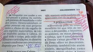 Dia 11 de Janeiro