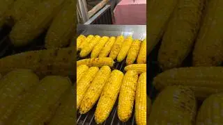 🌽Sweet Iowa Corn 🔥🔥🔥 #iowastatefair #iowa #corn #sweetcorn #foodie #food #travel #travelvlog