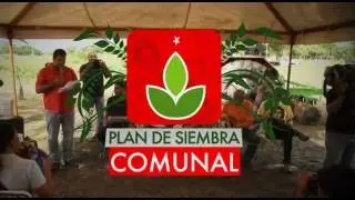 Plan Siembra Comunal 2016 Financiamiento para Siembra de Algodón