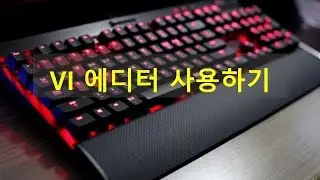 [Linux] vi 에디터(vim) 사용하기 ★밤비와 코딩
