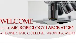 An Orientation to the Microbiology Lab