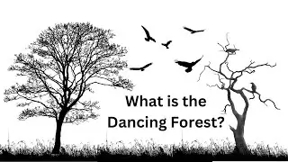 Unveiling the Mystery of the Dancing Forest | Nature's Secrets Unlocked
