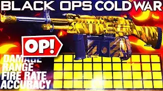 MAX DAMAGE STONER 63 Black Ops Cold War! (BEST STONER 63 CLASS)