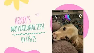Henry, the talking golden retriever, loves to speak and share his motivational tips!