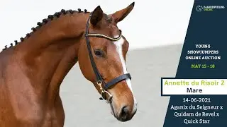 Annette du Risoir Z - Young Showjumpers Online Auction - Paardenveilingonline.com