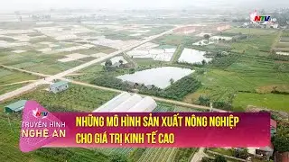 Những mô hình sản xuất nông nghiệp cho giá trị kinh tế cao