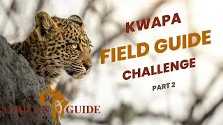 Kwapa Tracks: Interactive Field Guide Challenge - Episode 2 - African Guide Academy
