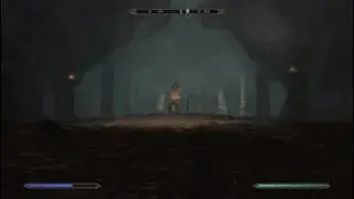 Used Hadoken in Skyrim