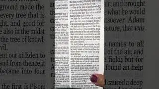 Bible ASMR Whisper Reading Genesis 1:1 through 5:15 Fall Asleep or Meditation