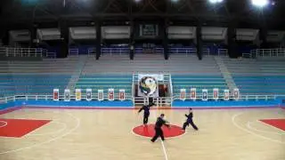 Pesaro 2016: la dimostrazione del Centro Vo Duong Long Son