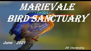 Marivale Bird Sanctuary - Gauteng - June 2021 - DG Overlanding - Day Trip