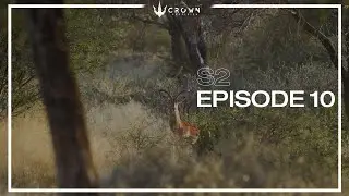 Hunting Impala and Kudu with .30-06