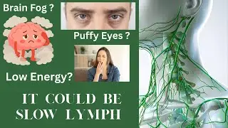 The Secrets of Lymph: Symptoms and Natural Relief of Brain Fog, Puffy Eyes, and Tiredness