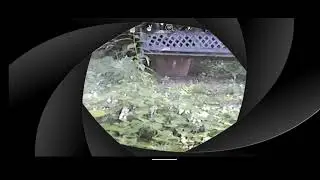 KY102 Screen Drone TEMU 20250428 -Kamera Beeld -  Skerm Opnemer KY UFO toep NOKIA C21