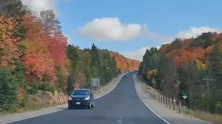 2025 - Algonquin - Fall Colours