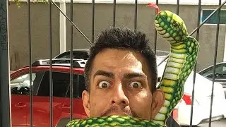 LA COBRA VS EL POPEYE