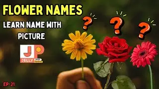 Learn Flower Names for Kids | ফুলের নাম | Preschool Learning | Kids Educational Video