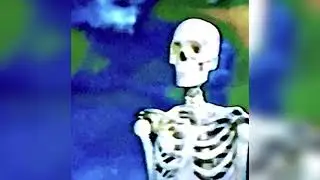 Bones - CtrlAltDelete [ALAC] [192kHz]