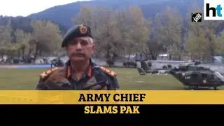 'India exports medical aid, Pakistan exports terror': Army Chief Gen Naravane