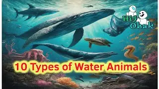 10 Types of Water Animals #hi5obak