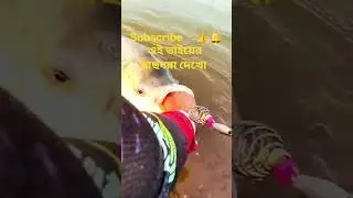 #fishing #video #fish #carpfishing