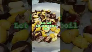 **SECRET** How to Cook Chestnuts without CUTTING YOURSELF!  #lakeeriechestnuts #cooking