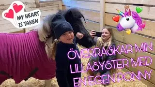 VLOGG - VI ÖVERRASKAR MIN LILLASYSTER MED EGEN PONNY PÅ HENNES FÖDELSEDAG