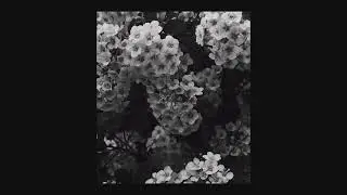 [FREE] MICK JENKINS X LITTLE SIMZ TYPE BEAT 2021 