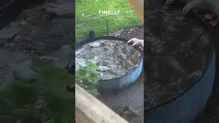 I finally caught my ducks using their new pool #ducks #poolparty #shorts