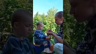 кусочек деревенского лета и вкусная малина с куста
