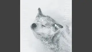 Vulpes lagopus