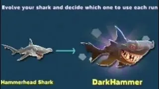 DarkHammer unlocked in hungry shark evolution