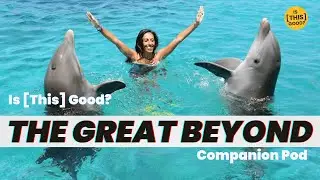 MattyO & JD | Swinging With Dolphins