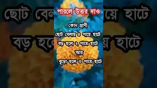 পারলে উত্তর দেন 