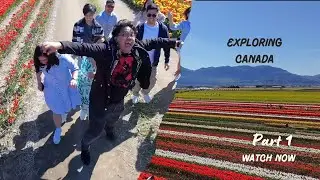 EPIC 10-Hour Road Trip from Calgary to Vancouver | Day 1: Stunning Lakeland Flowers!