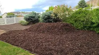 8 Beginning Gardener Series Pros and Cons of In Ground Garden Beds