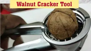 Walnut Cracker Tools (All Types of Walnut Cracker available on Online Site): Feature & Quick Review