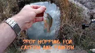 Spot Hopping for Catfish and Panfish