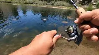 Trout Fishing | Eastern Sierras
