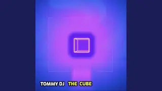 The Cube (TOMMY Dj remix)