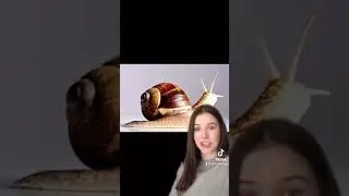 Объяснение вирусной бессмертной улитки