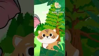 Sleepy Safari &ndash; 9 Hours of Calming Lullabies Sounds for Baby Sleep BabySleepNoiseCo. 🌙✨