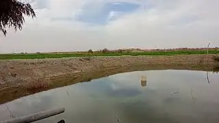 الوادي الجديد الفرافرة القعدة ع البركة 01122474189