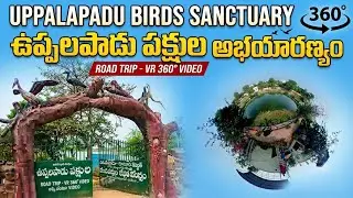 Uppalapadu Bird Sanctuary 🐦 | 360&deg; VR Video | PIN CODE TRAVELER