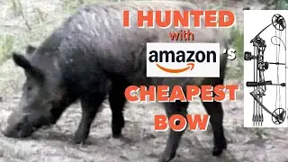Amazon Cheapest Bow Hunting Challenge - Wild Hog Hunt - Amazon Budget Bow! 🏹  You can Win the Bow!